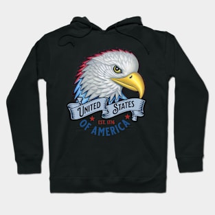 United States of America Hoodie